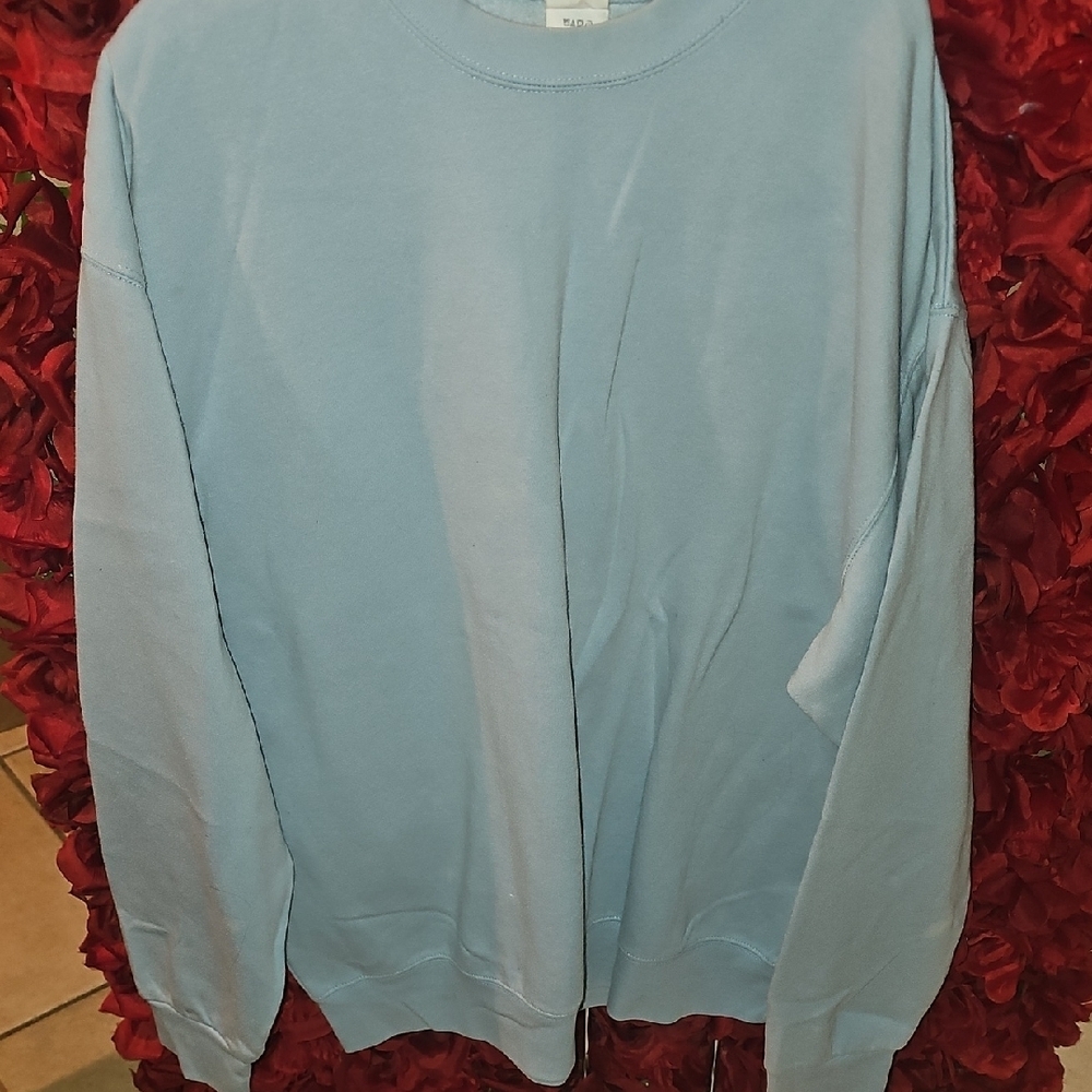 Hanes Women's Light Blue Crewneck Fleece Lined Sweatshirt Size Large